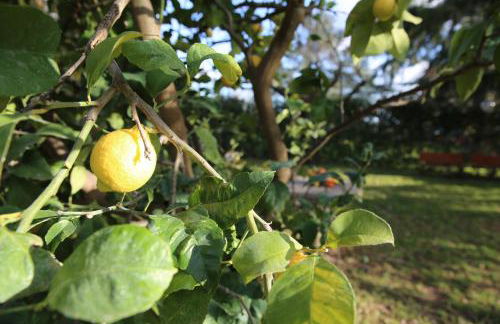 angolo di paradiso - Foto 56