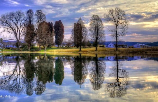 Beacon Vlei Guest Farm - Foto 42