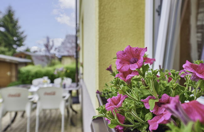 U Šustrů - Foto 20