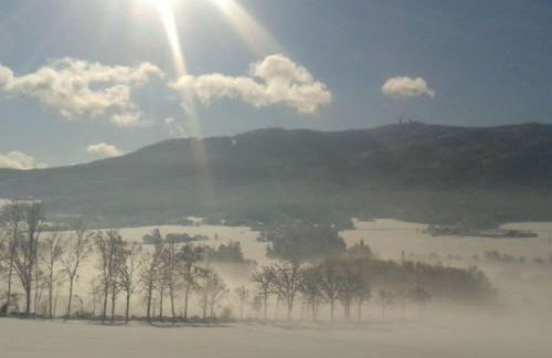 Holiday Apartment Tulpe Schuniglhof - Foto 41