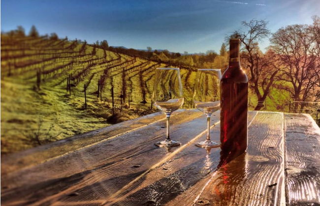 Papillon Cellars - Foto 1