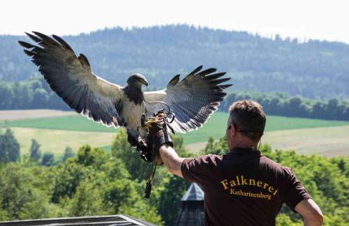 Ferienwohnung Pasek - Foto 25