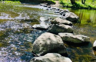 Westerwaldhaus - Foto 22