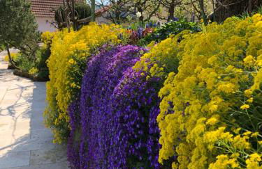 Ferienwohnungen Ries - Photo 8