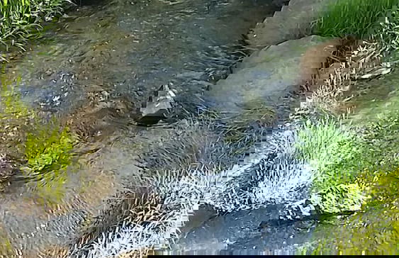 Village Vacances Yaloer - Foto 25