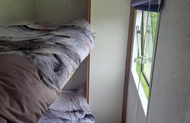 Ulinia Wilcza 4 beżowy - Photo 9