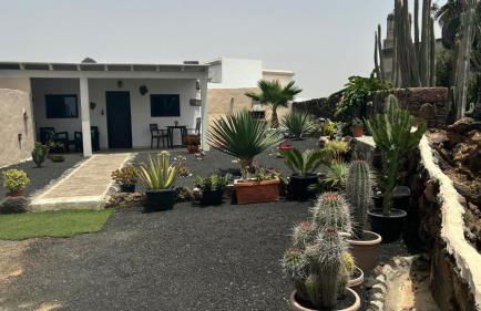 Mardelava - Photo 38