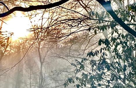 On top of the world at Sugar Top Resort - Foto 36