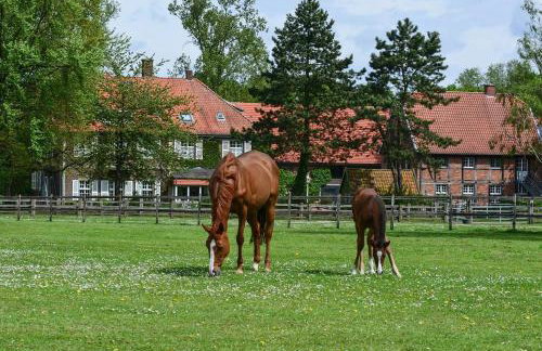 Ferienwohnungen Georgenbruch - Foto 99