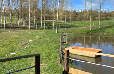 Cabane au bord d'un étang - Foto 10