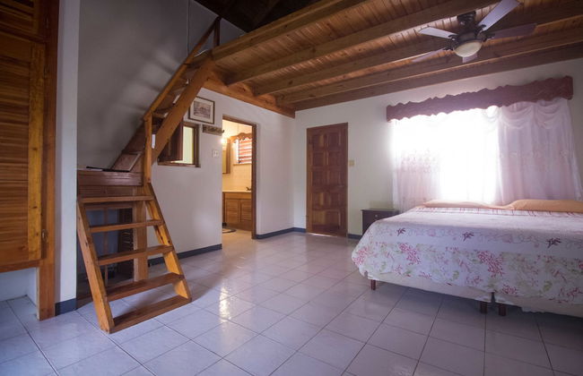 Rainbow Hill - Photo 7