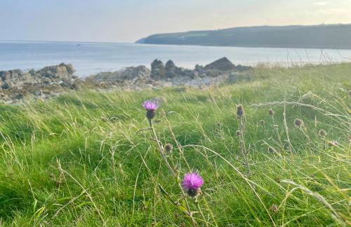 Ceol na Mara - Foto 32