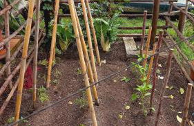 Jardines del Acebron - Photo 6