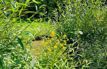 Studio 11 Proche Centre Ville avec Wifi Parking Troyes - Foto 16