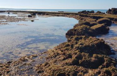 Casa da Praia - Foto 24