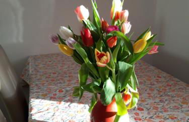 Ferienwohnung im Seidlerhof mit Balkon und Garten - Foto 17