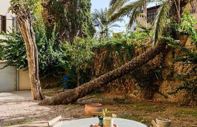 Secret Garden by TLV2RENT - Photo 45