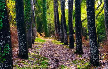 Alojamiento La Fuente - Foto 35