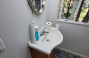 Cabin on Avenue of the Giants - Foto 7