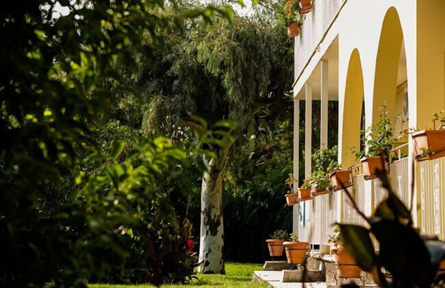 Spiti Prifti - Photo 63