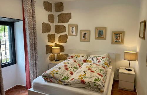 Casa Vista Bandama Vivienda Vacacional - Foto 2