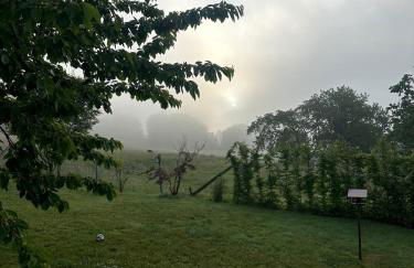 Gemütliche Ferienwohnung direkt am Wald - Foto 11