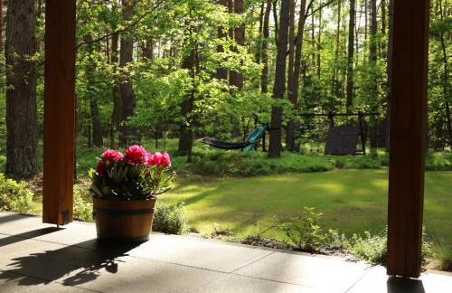 Na Las Czas, Wilga - Foto 39