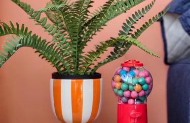 Le 76 - Appartement Pop! - Foto 27