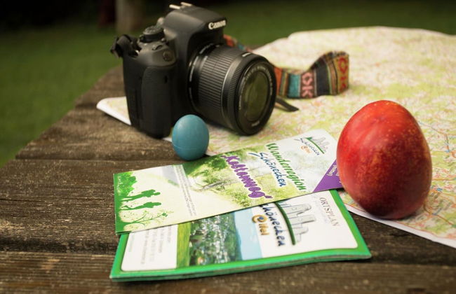 Chalet in Reinskopf With Fireplace - Photo 7