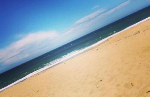 Y Boidy Bach - Photo 53