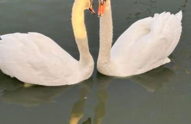 Rachels Luxury Tattershall Hot Tub & Fishing Retreat - Foto 68