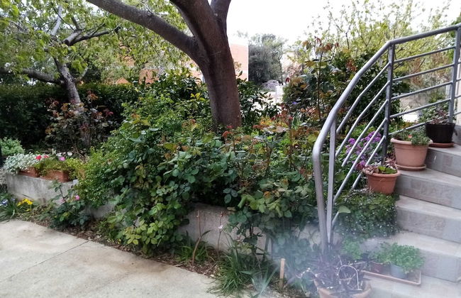 Apartments Vanja Škara Biograd - Foto 40