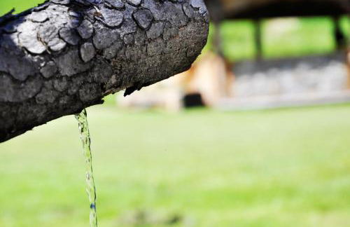 Guesthouse Rungg - Foto 52