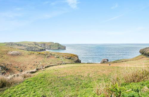 Trewethett Farm - Foto 23