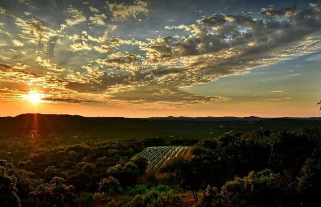 4 2 Firepit hot tub Scenic Views L2 EV Charger - Foto 76