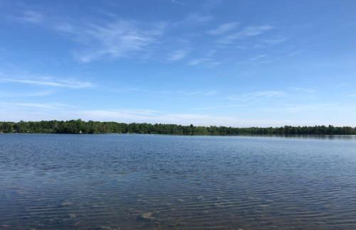 The Dragonfly - Foto 6