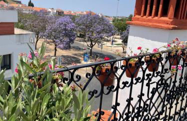 Rossio Rooftop, Porta 6 - Estremoz, Alentejo - Foto 11