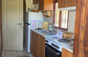 Real Holidays Antoniadou - Rustic House - Foto 32