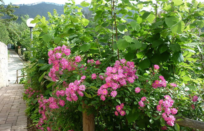 Resort Costa Morroni - Foto 45