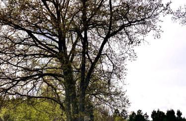 Lütt Heidjer Hus - Foto 25