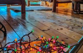 Dorina hiža - Foto 67