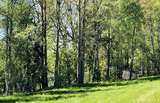 Liljekonvalj Cottage Overlooking the River Sauna - Foto 26