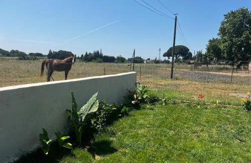 Le 255-côté jardin - Photo 20