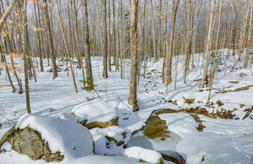 Stratton Mtn Ski Chalet with Giant Views in Winhall - Foto 26