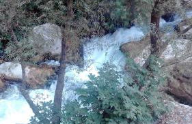 CASA DEL VIDRIO - Foto 50