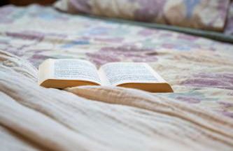 L'Orangerie Normandie - Foto 12