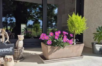 Gîte Au Petit Bonheur - Photo 20