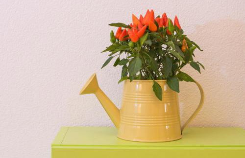 Apartments Marli - Foto 41