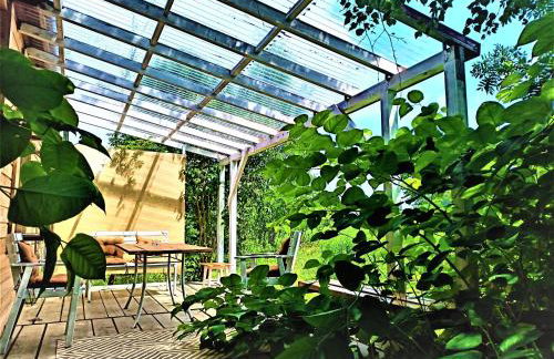 Butterfly Factory - Foto 29