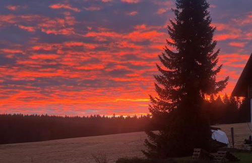 Ferienwohnungen Carlsfeld - Foto 67